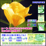 1f338ef9.gif