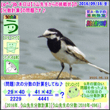 33bd47db.gif