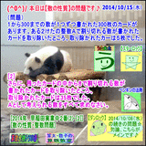 40b2742e.gif