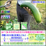 50c05e86.gif