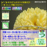 52274116.gif