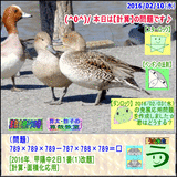 56eec282.gif