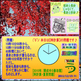 5764f38b.gif