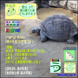 767aceda.gif