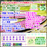 79e74b6c.gif