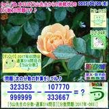 7dce06db.gif