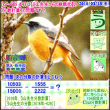 80395a57.gif