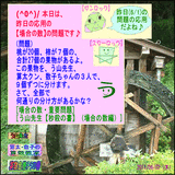 82f6adc7.gif