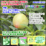 95f74c19.gif
