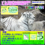 9b181ccd.gif