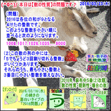 b39da72f.gif