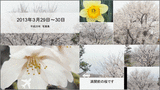 b4a73131.gif