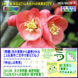 decc79a8.gif