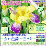 f81c603e.gif