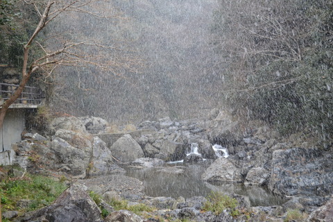 DSC_0769