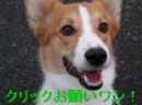 ¥¯¥ê¥Ã¥¯