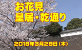 0cafb6b6.gif