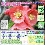 1f63d443.gif