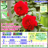 227326cd.gif