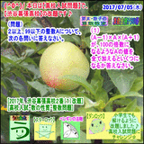 266e8a72.gif