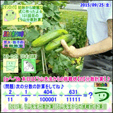 2d04e964.gif