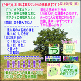 30a263c3.gif