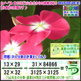 3b17878a.gif