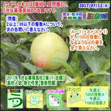 3c779f53.gif