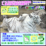 42b3d9cc.gif