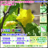 83a67be0.gif