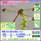 bdc1e9fa.gif