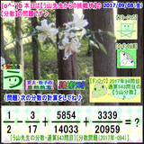 ef39d795.gif