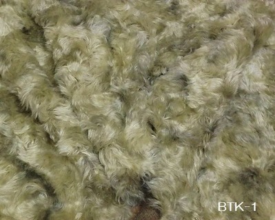 BTK-1