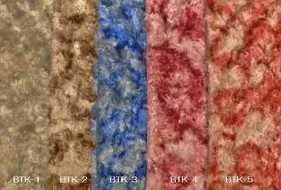 BTK1-5 #入