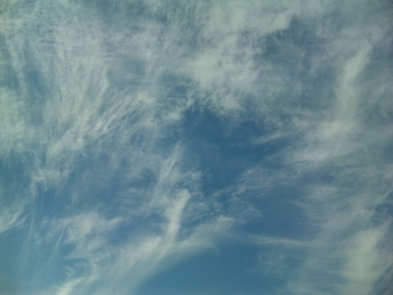 空も飛べるはず の掲示板投稿写真＆画像