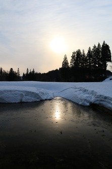 IMG_2571.jpg-1