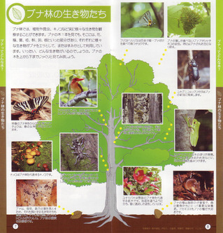 Scan10024-1
