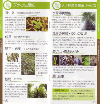 Scan10023-1