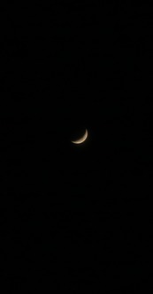 IMG_3253-1