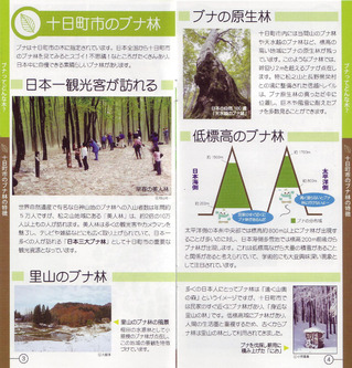 Scan10022-1
