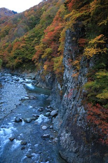 IMG_0984.jpg-1