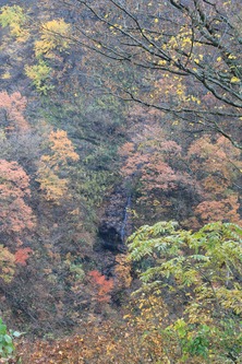 IMG_1102.jpg-1