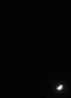 IMG_1160.jpg-1