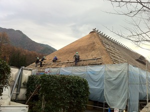 IMG_0319