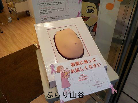 おっぱい