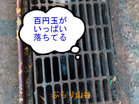 側溝に百円玉が落ちた