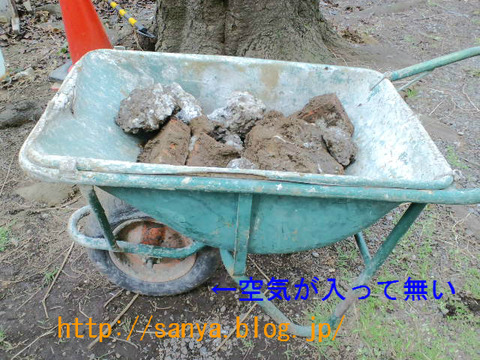 一輪車はネコ