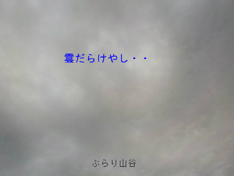 予報は晴れでも雲だらけ