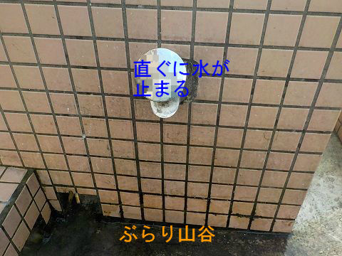 ボタンを押しておかないと水が出ない水洗