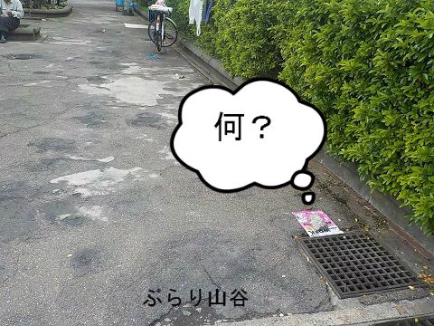 炊き出しの場所取りが早い
